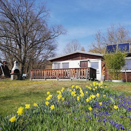 Ferienhaus Chiara, Suedharz, Harztor Ilfeld Екстериор снимка