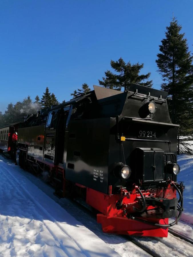 Ferienhaus Chiara, Suedharz, Harztor Ilfeld Екстериор снимка